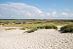 Dünen bei Nymindegab, dahinter ein herrlicher Sandstrand zum Baden