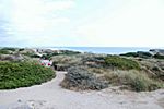 Skagen Greenen