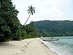 Monkey Beach