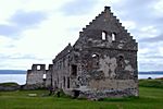 Visingsö; Schloßruine Visingborg